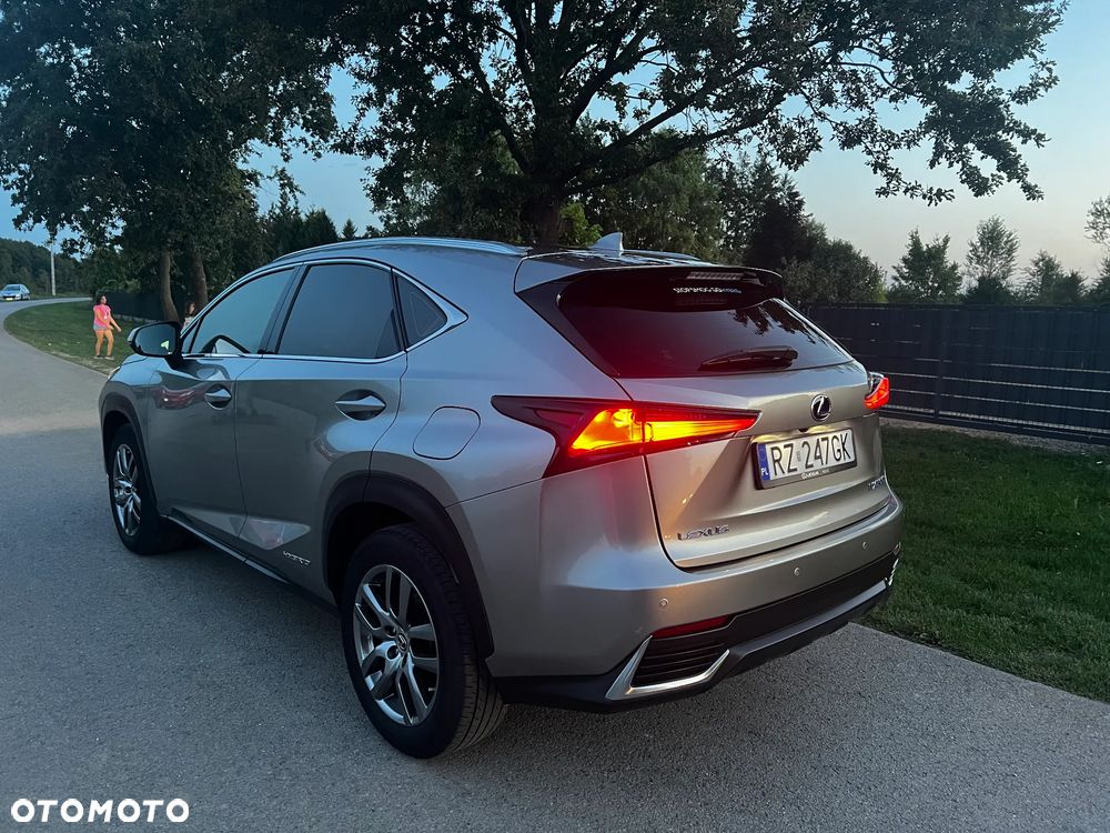 Lexus NX 300h Optimum AWD - 7