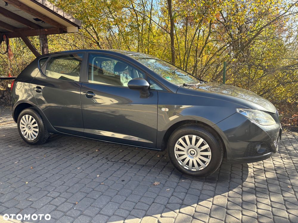 Seat Ibiza 2008 photo 2