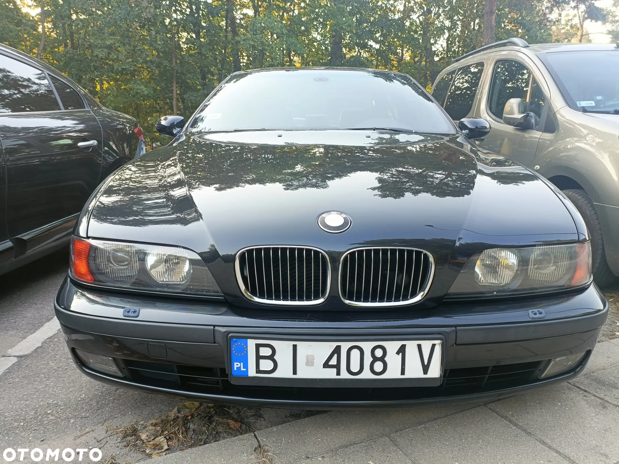 BMW Seria 5 - 3