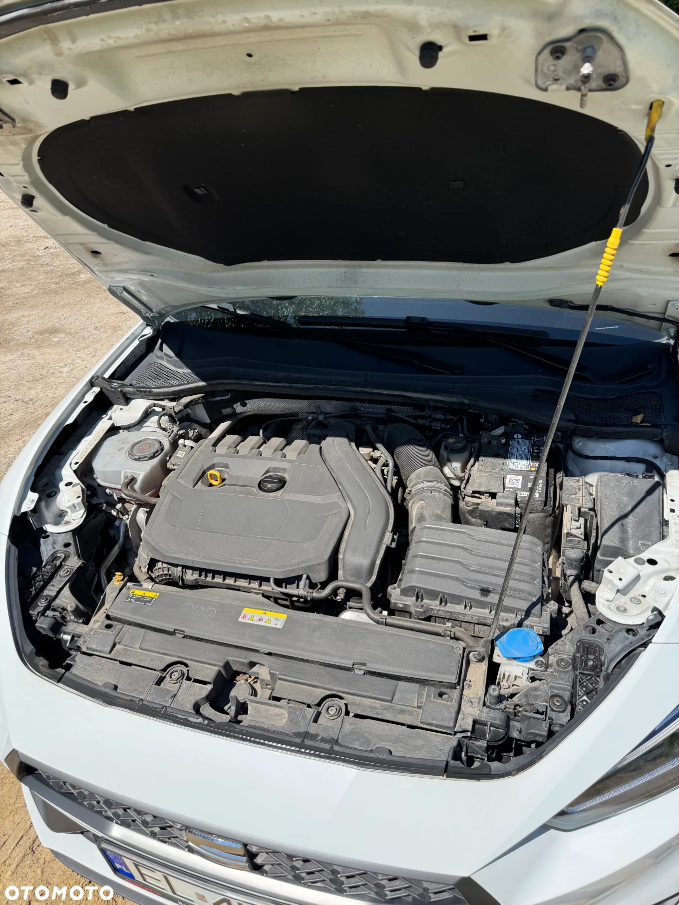 Seat Leon - 22