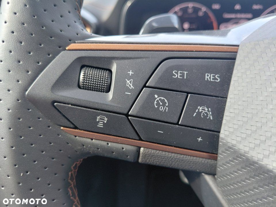 Cupra Formentor - 21