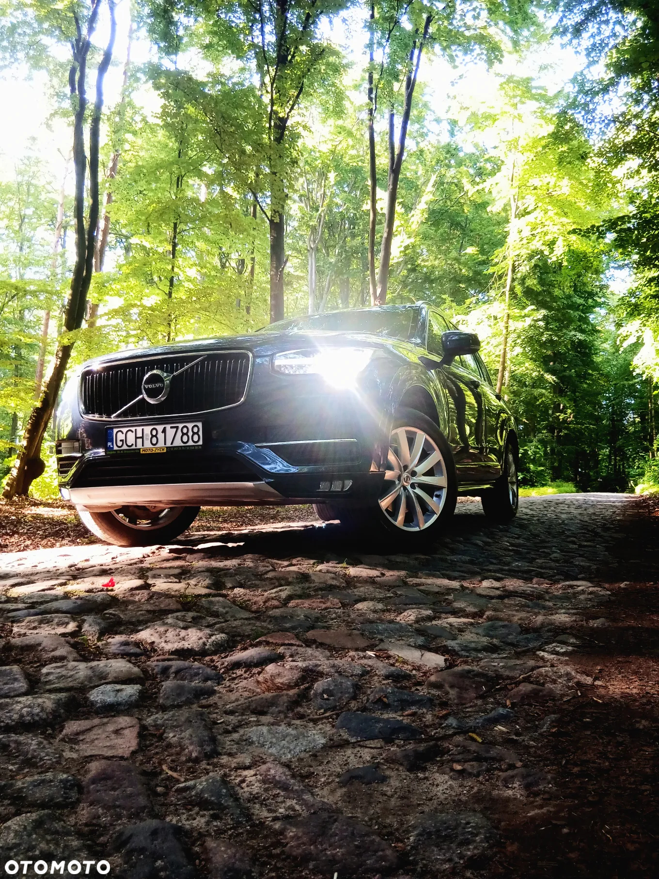 Volvo XC 90 D4 FWD Momentum - 8