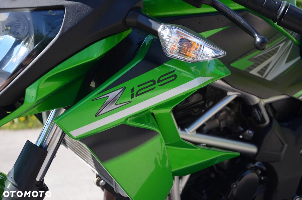 Kawasaki Z - 6