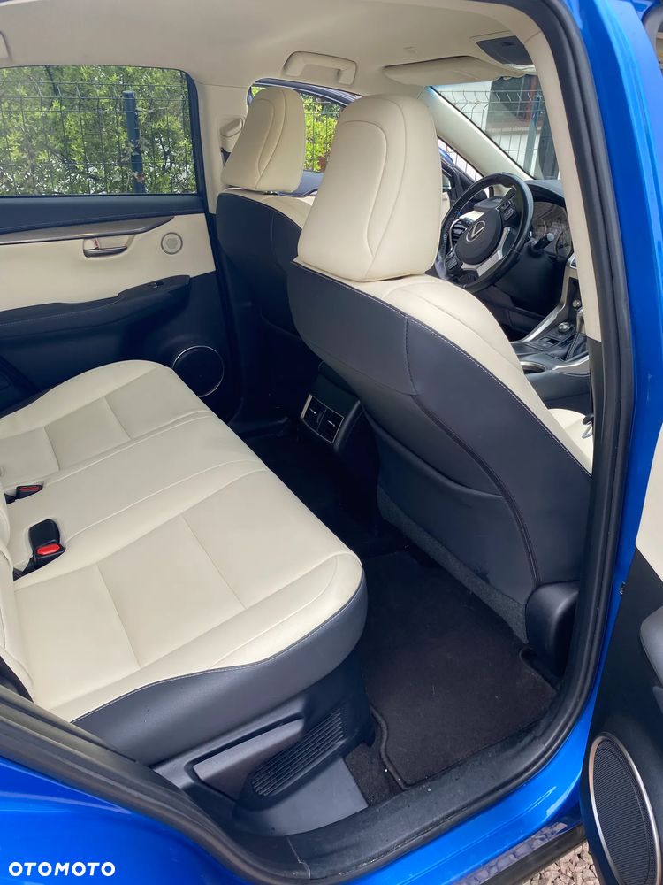 Lexus NX 300 Business Edition AWD - 13