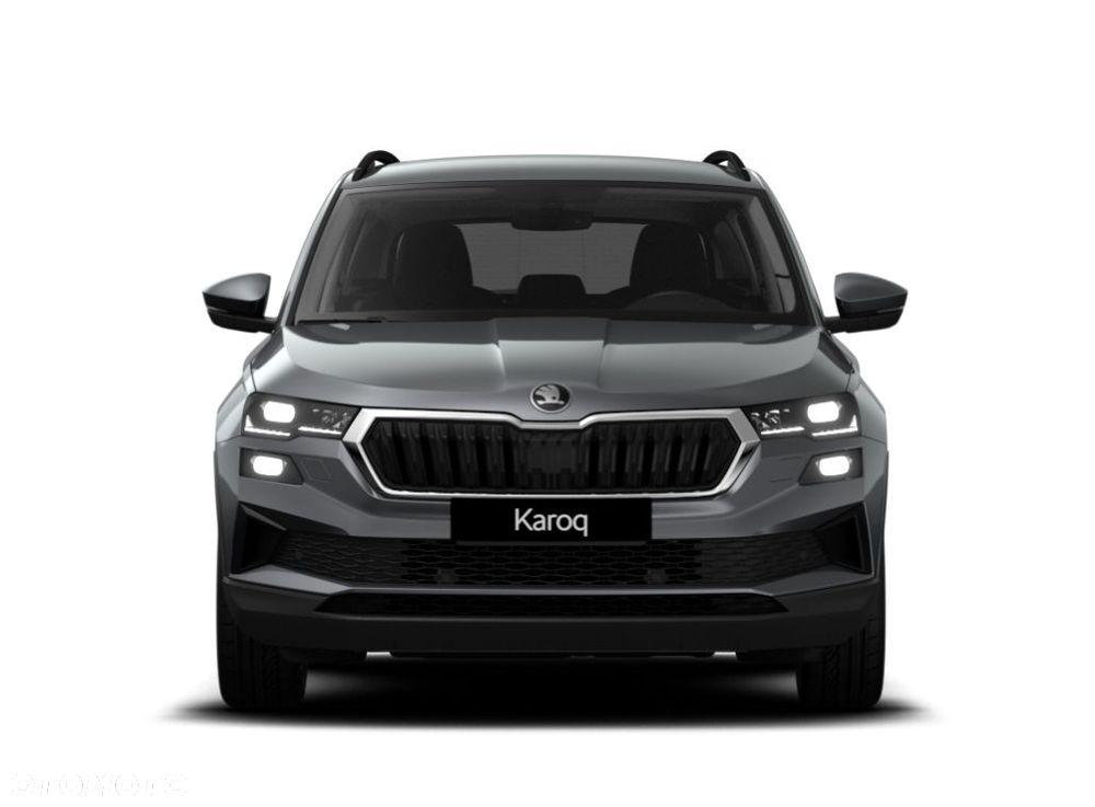 Skoda Karoq 2025 photo 3