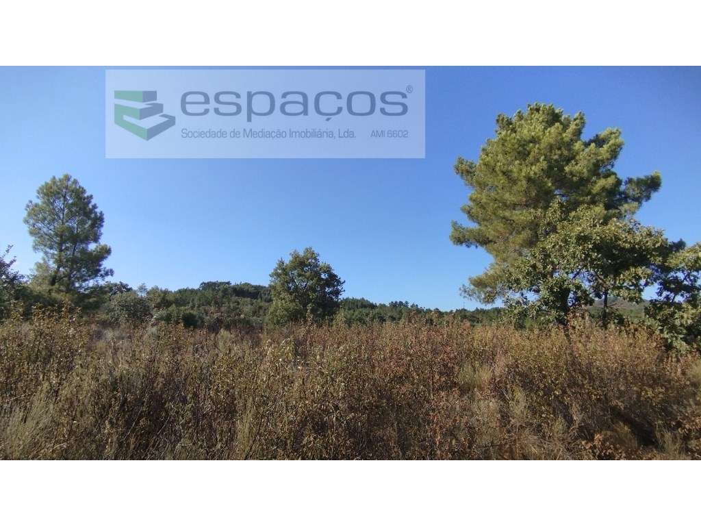 Terrenos - Grande imagem: 2/11