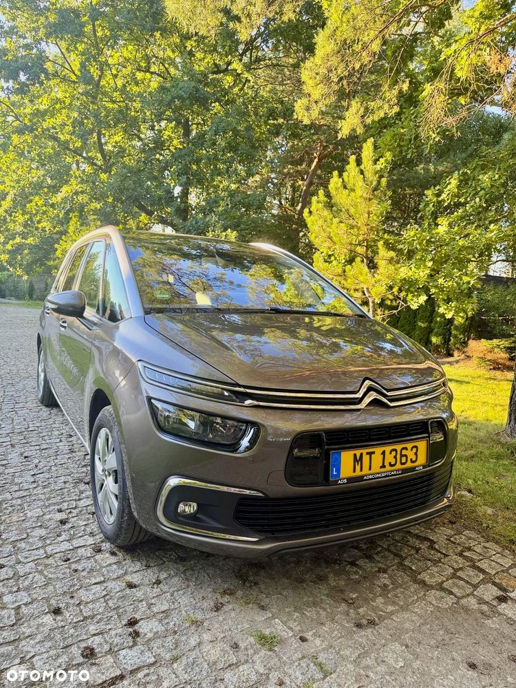 Citroën C4 Grand Picasso BlueHDi 120 Business Class - 6