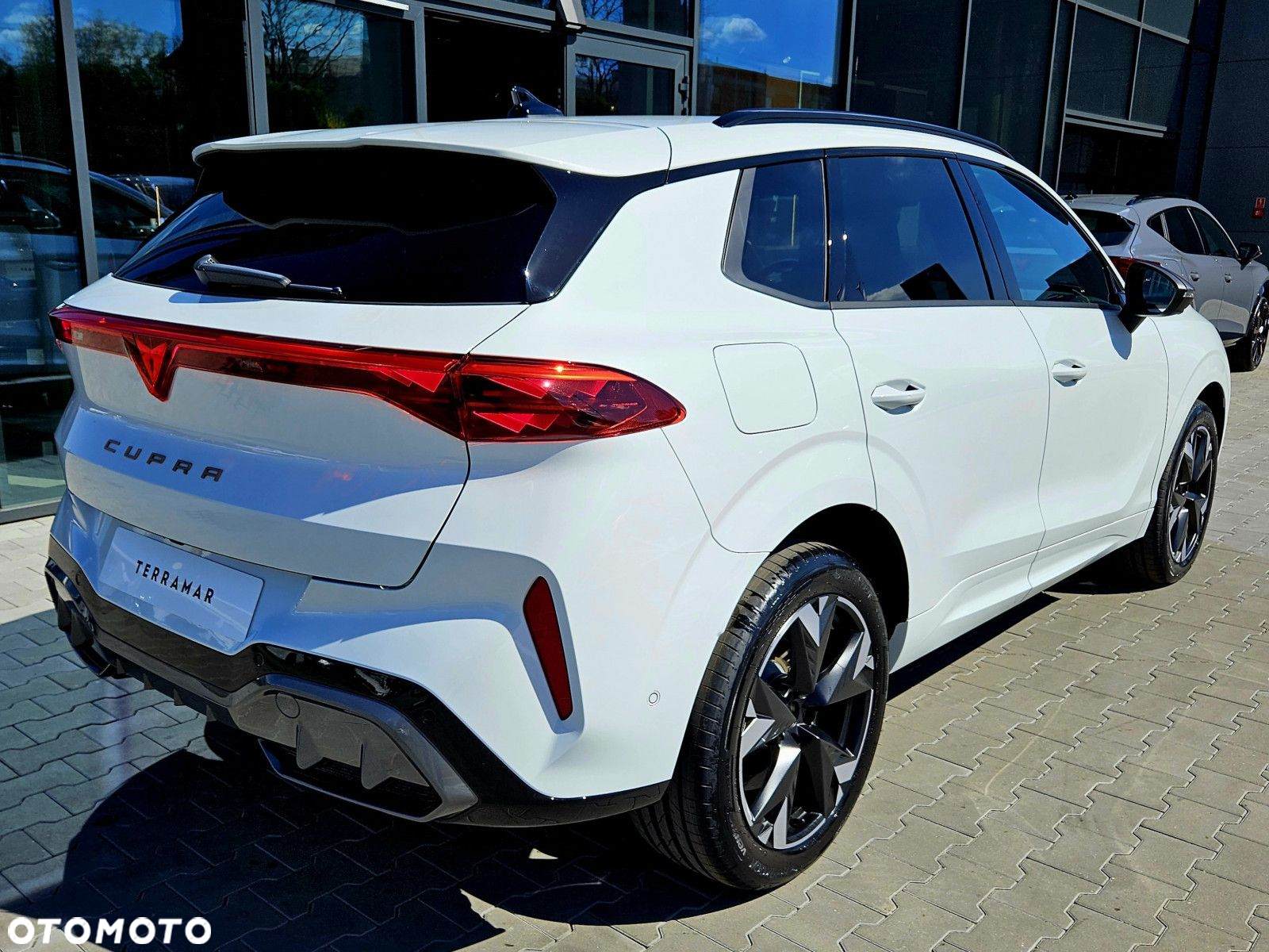 Cupra Terramar - 4