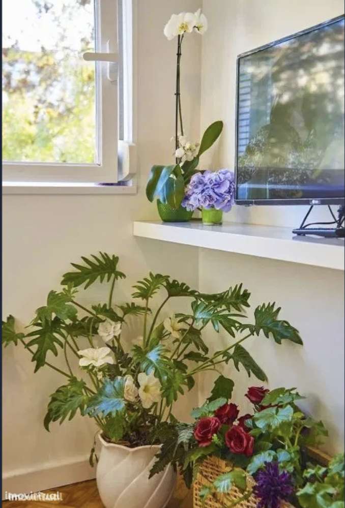 Estúdio luminoso, mob/equipado junto C Comercial,metro Olivais - Grande imagem: 3/17