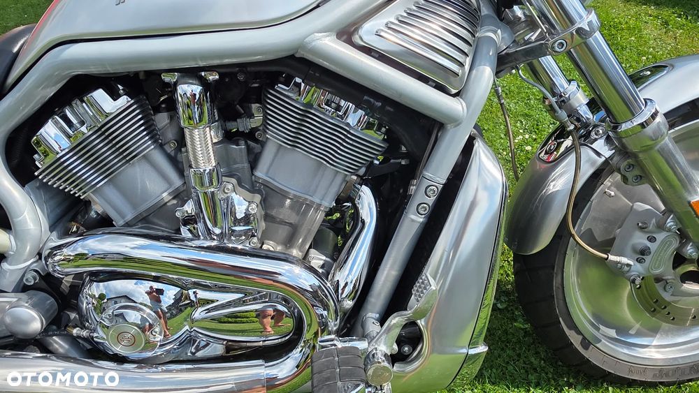 Harley-Davidson Softail V-Rod - 7