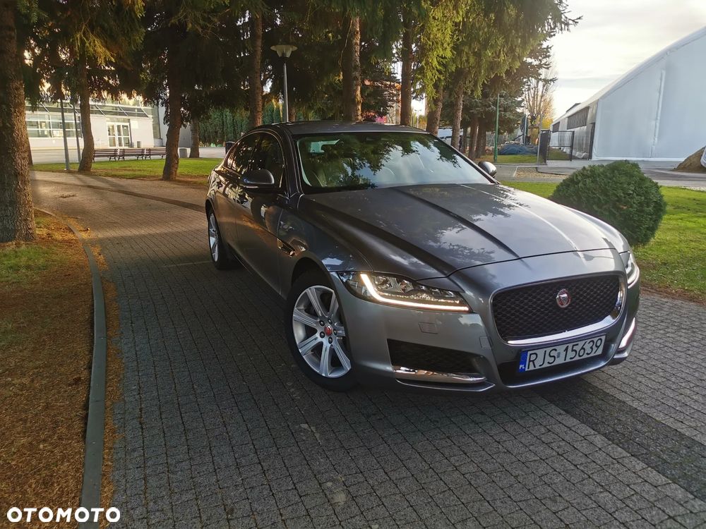 Jaguar XF 2.0 i4D Prestige - 1