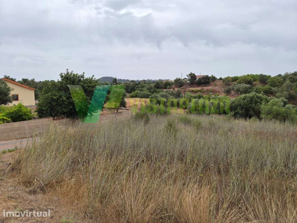 Terreno Rústico com 8.600 m² em Pedreiras, São Bartolomeu de Messin... - Grande imagem: 2/17