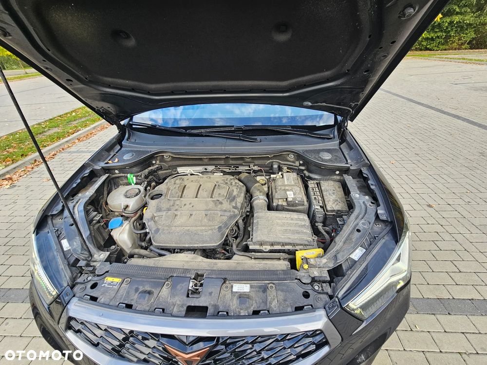 Cupra Ateca - 11