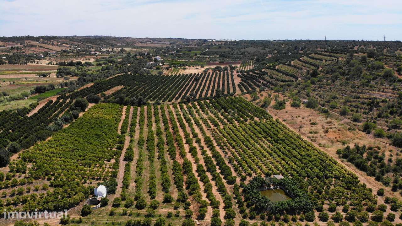 Tavira. Moradia com  implantação de 266 m2 e terreno de 14,5 ha,  em A - Grande imagem: 5/6