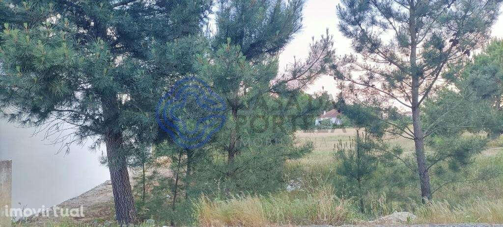 Lote de terreno para construção no Pinhal Novo, Urbanização - Grande imagem: 2/12