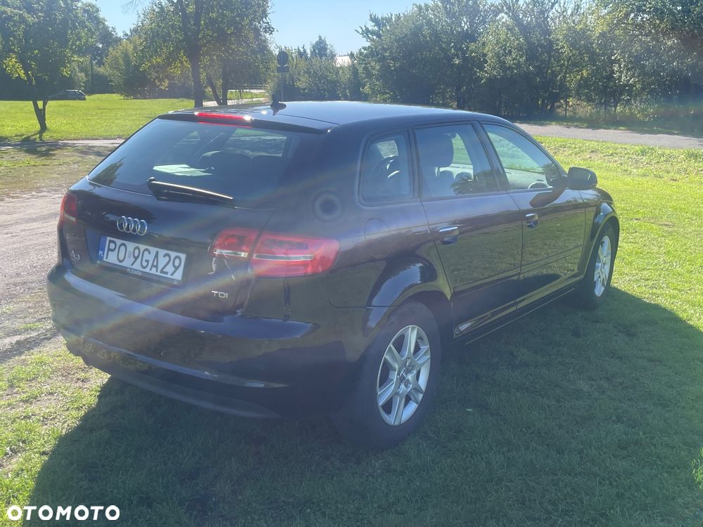 Audi A3 1.6 TDI DPF Ambiente - 5