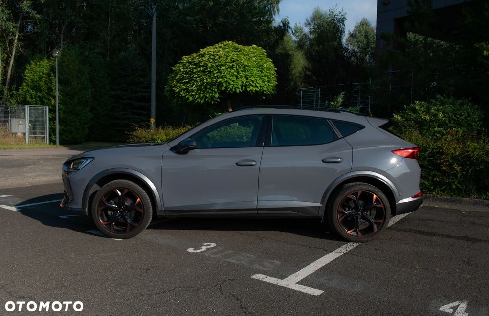 Cupra Formentor 2.0 TSI 4Drive DSG - 6