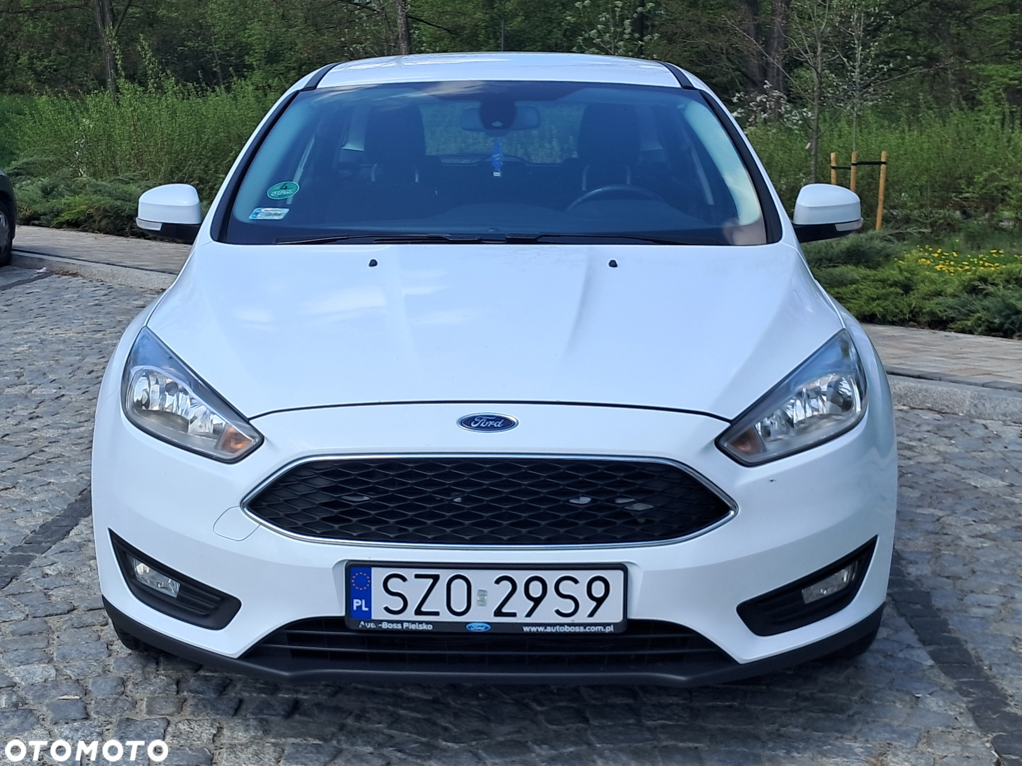 Ford Focus - 2