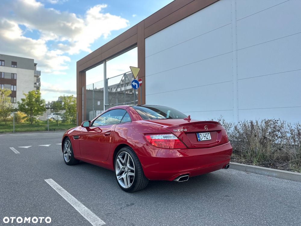 Mercedes-Benz SLK 250 (BlueEFFICIENCY) 7G-TRONIC - 5