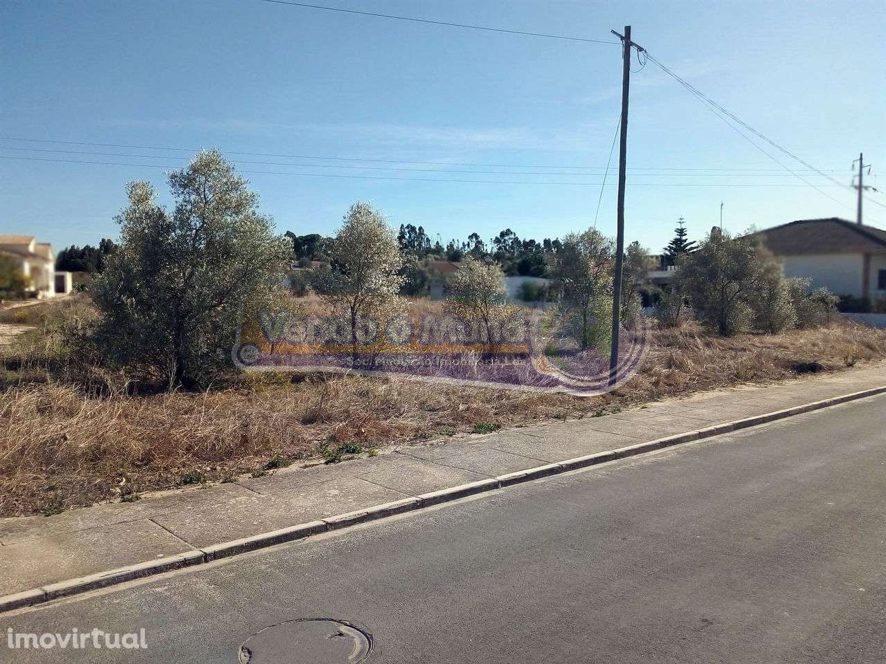 Terreno em Glória do Ribatejo (GLR017) - Grande imagem: 3/4