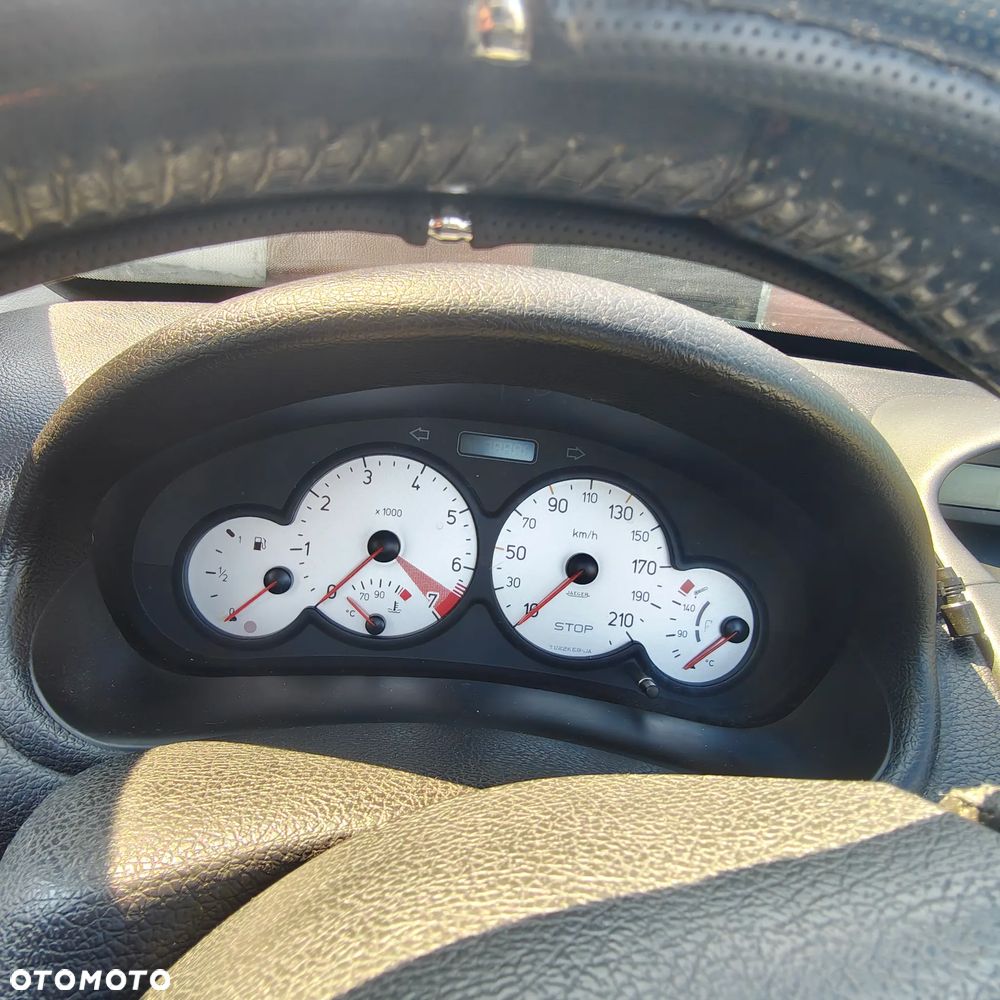 Peugeot 206 - 13