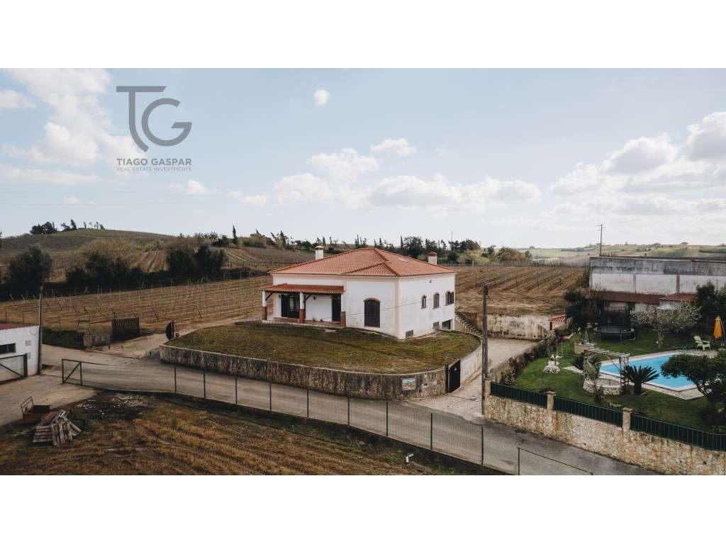 Moradia T3 com Terreno 10.000m² e Vinha em Produção | Arneiro - Tor... - Grande imagem: 2/33