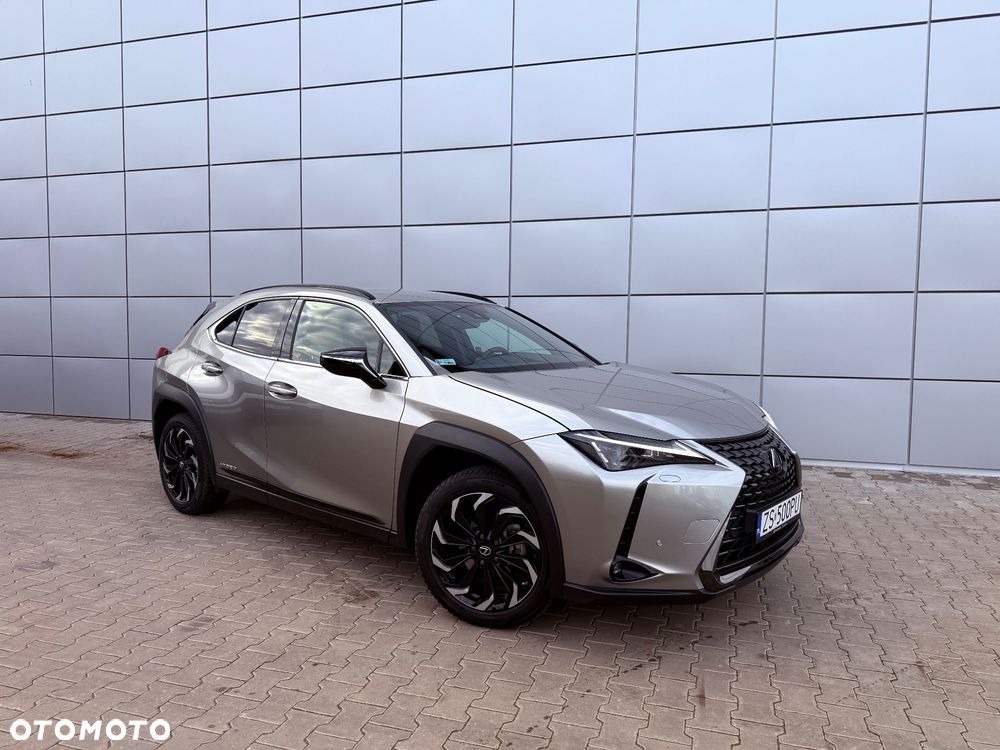 Lexus UX 250h Prestige 2WD - 2