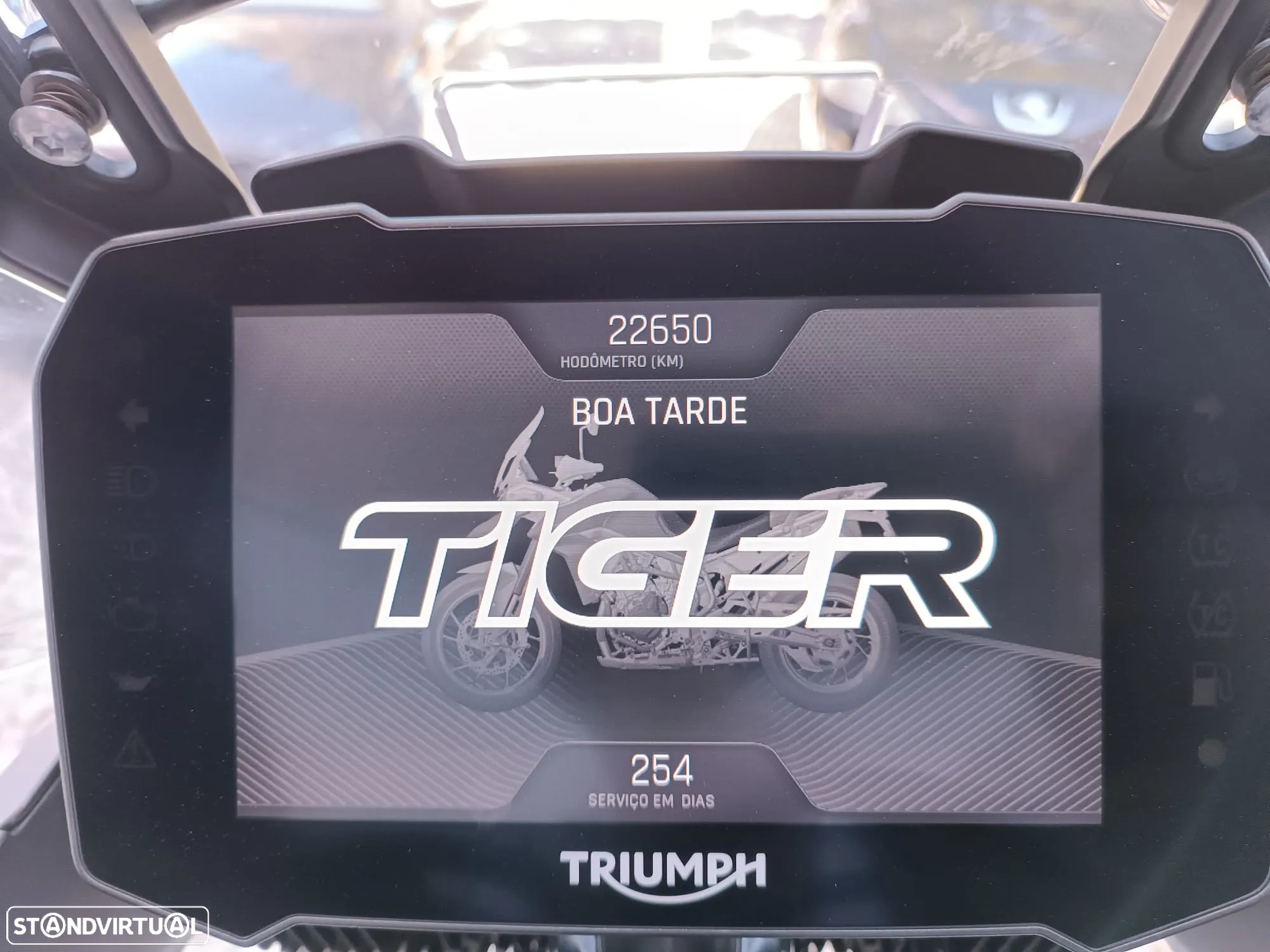 Triumph Tiger 900 GT PRO - 9