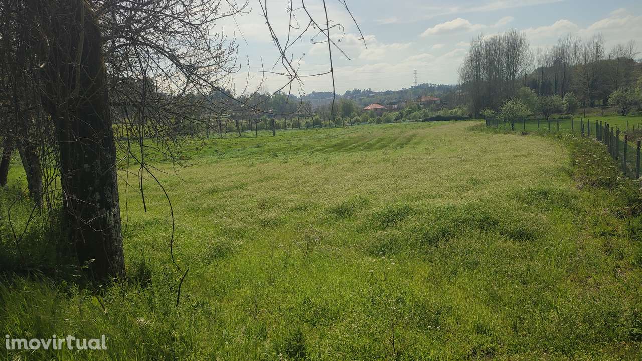 Terreno em Fiscal, Amares - Grande imagem: 3/5