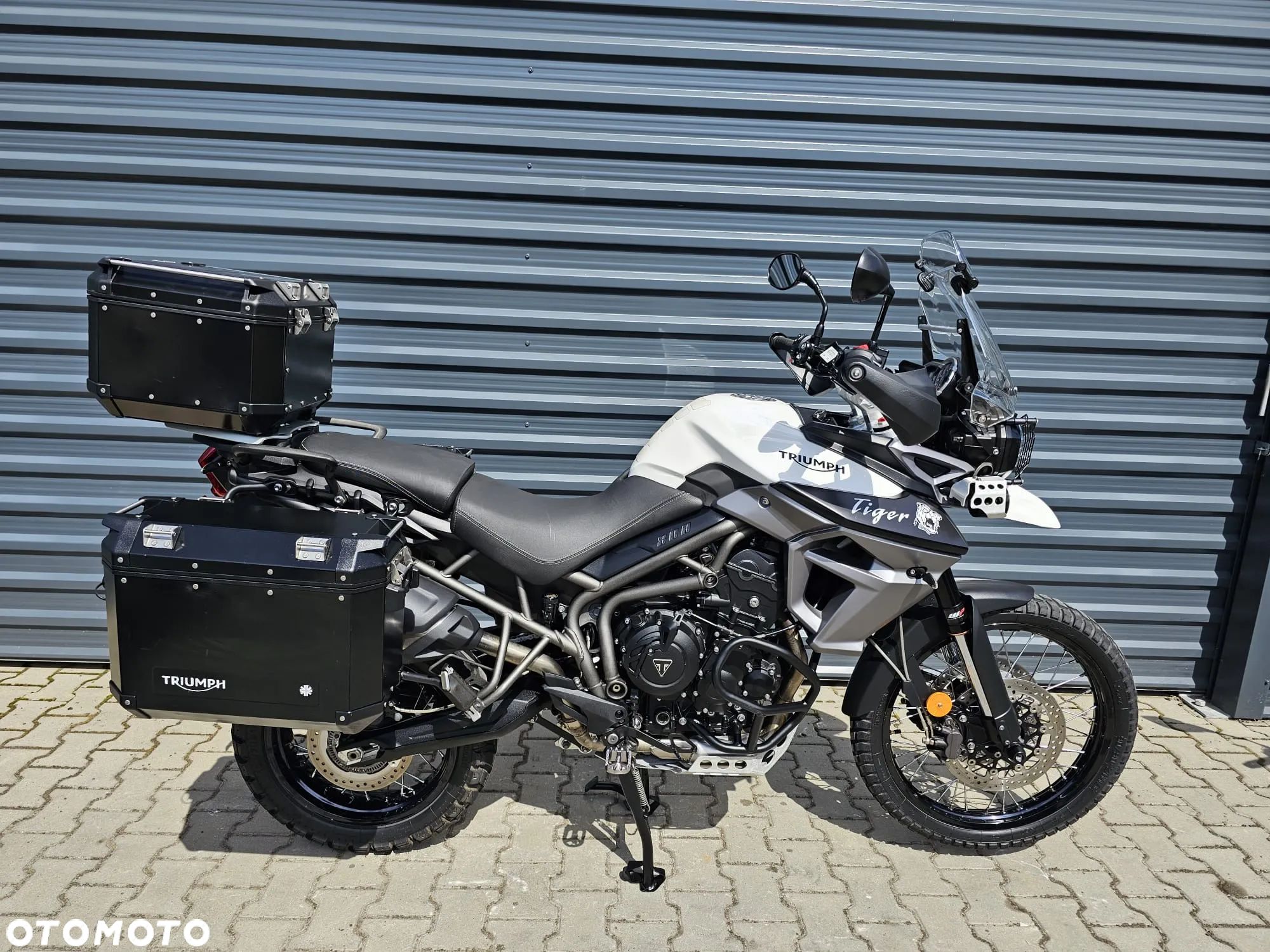 Triumph Tiger
