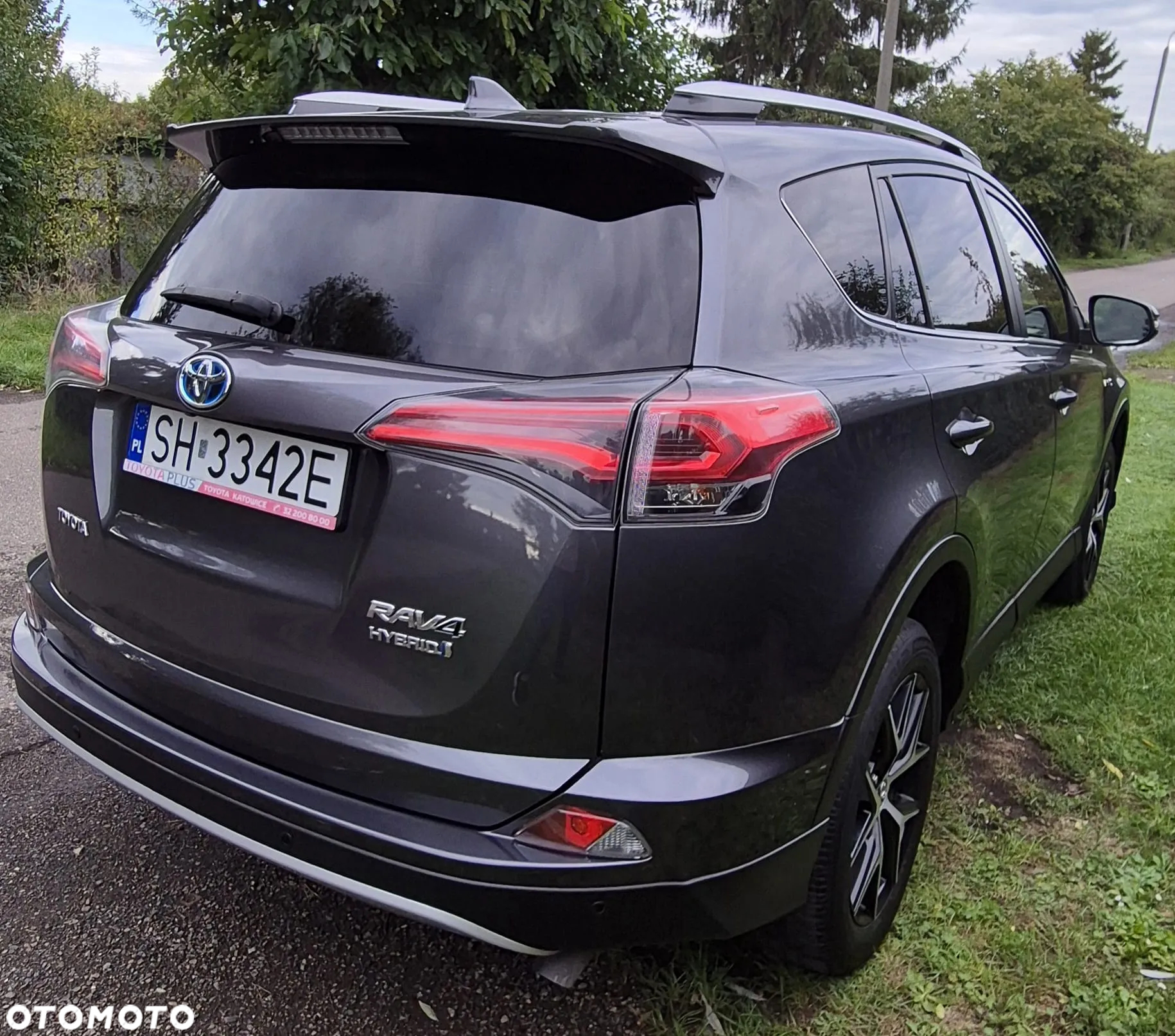 Toyota RAV4 Hybrid Platinum 4x2 - 3