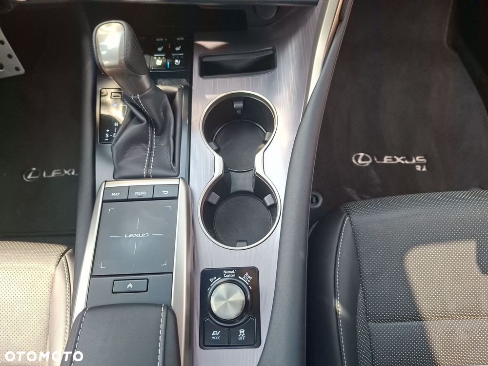 Lexus RX 450h F Sport Edition - 31