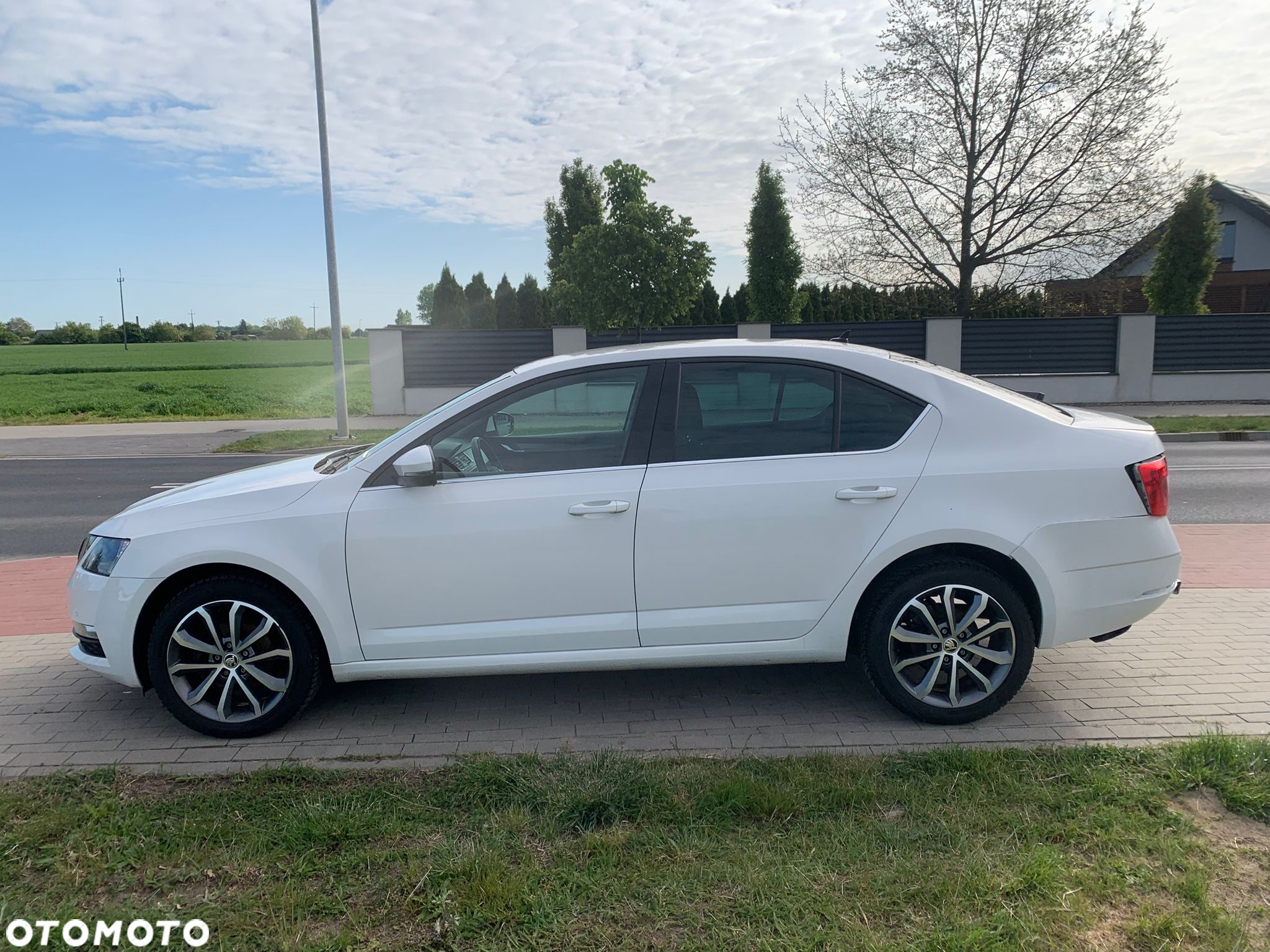 Skoda Octavia 1.6 TDI DSG Ambition - 11