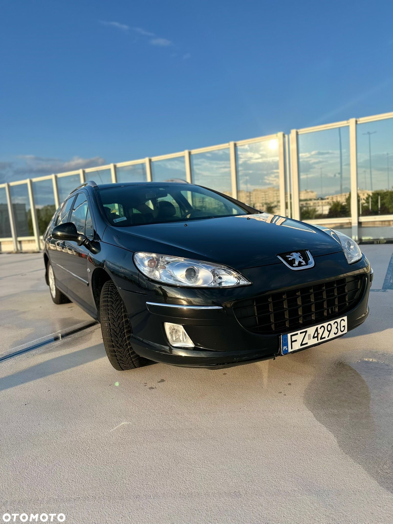 Peugeot 407 - 13