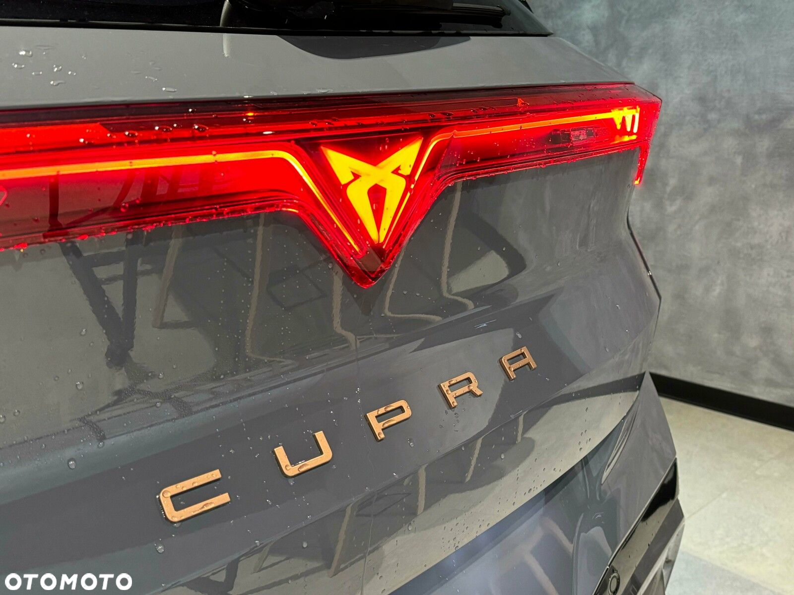 Cupra Terramar - 9