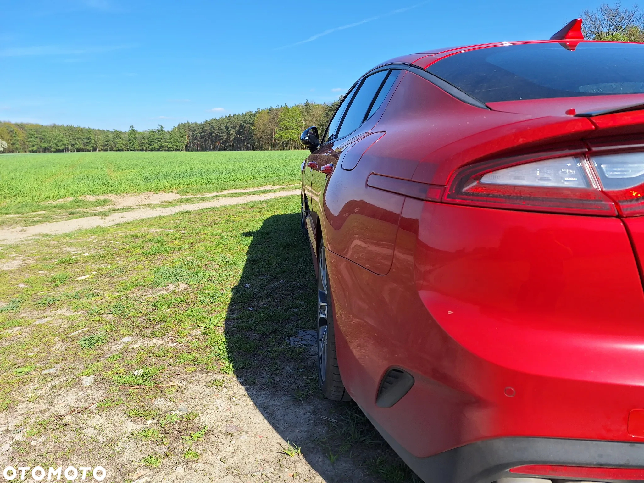 Kia Stinger 3.3 T-GDI V6 GT AWD - 7