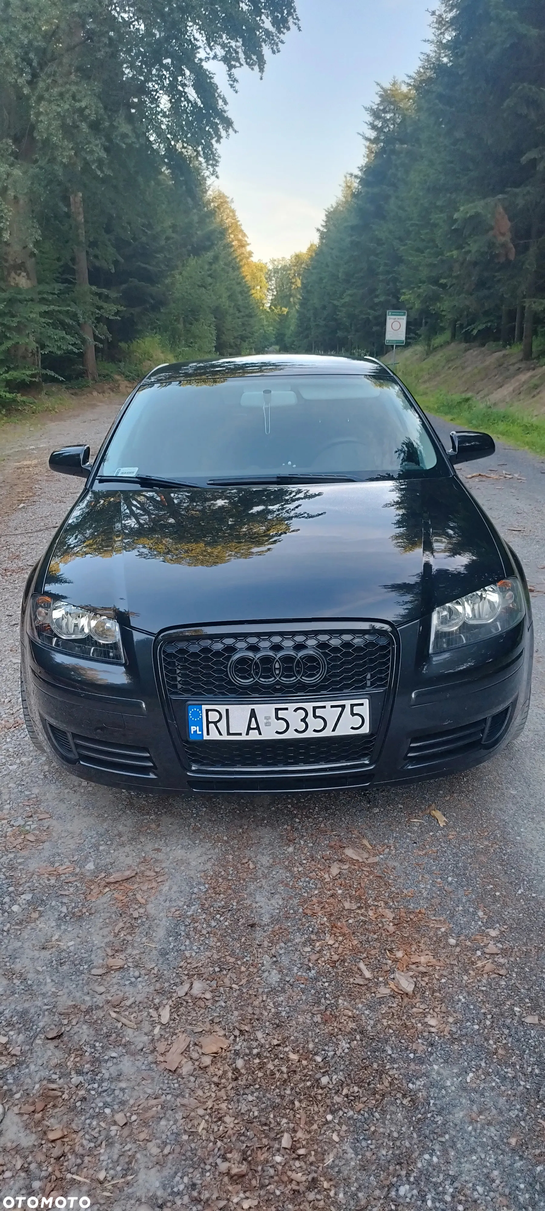 Audi A3 - 11