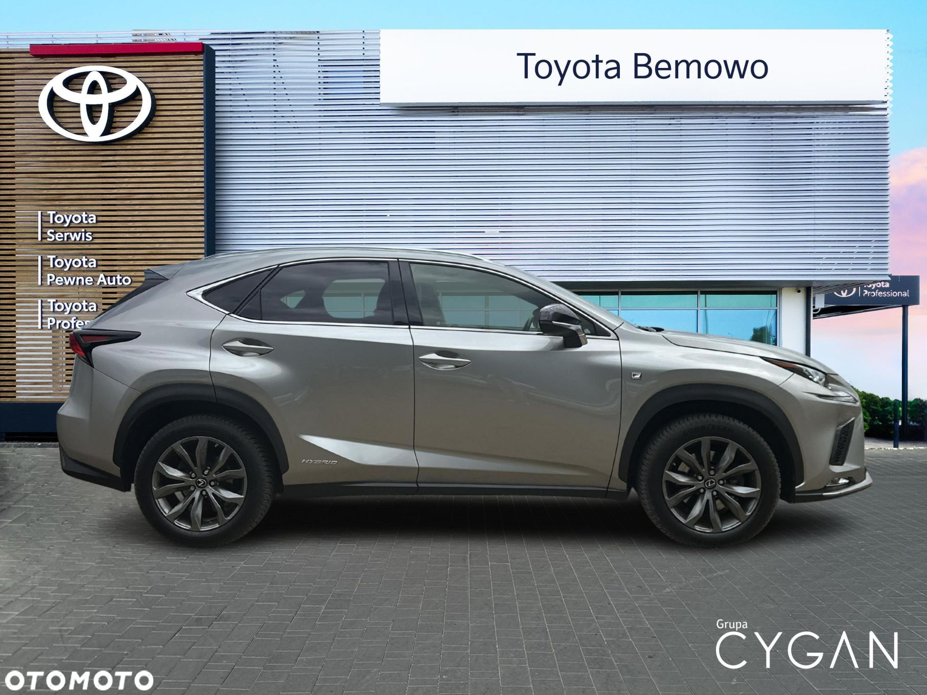 Lexus NX - 6