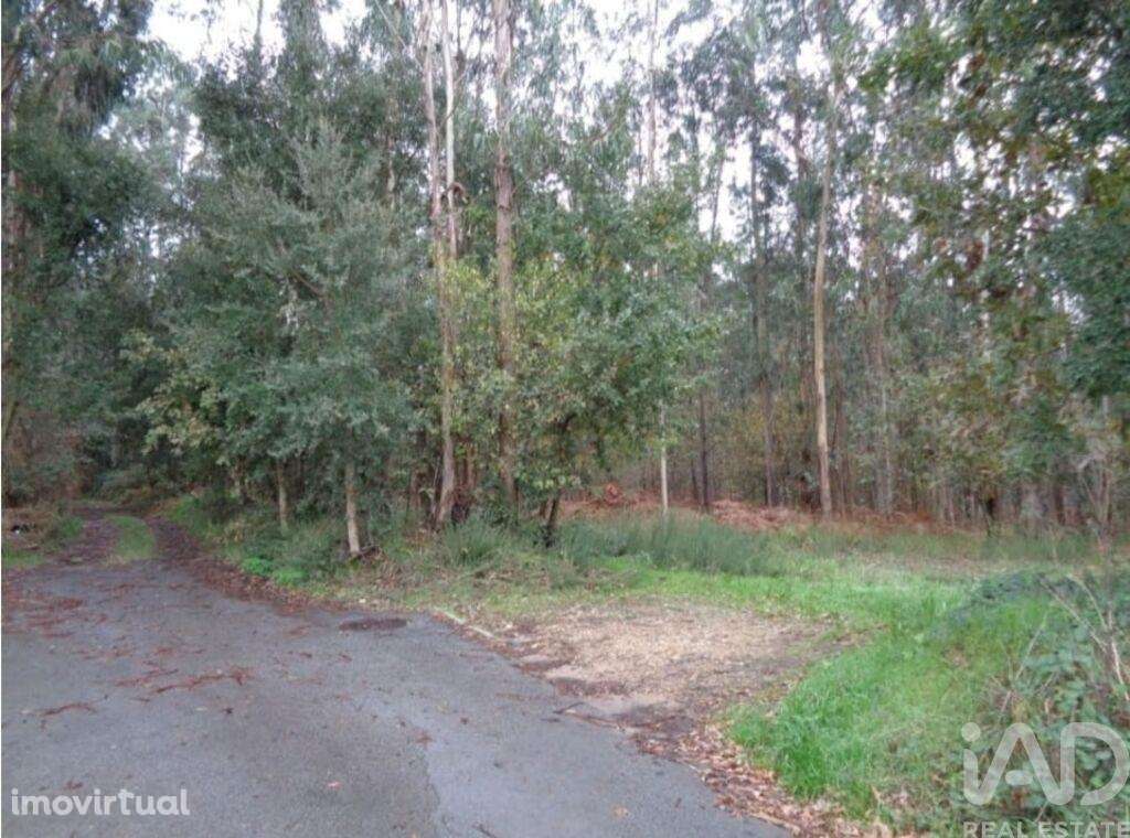 Terreno em Ovar, São João, Arada e São Vicente de Pereira Jusã de 7047 - Grande imagem: 3/3