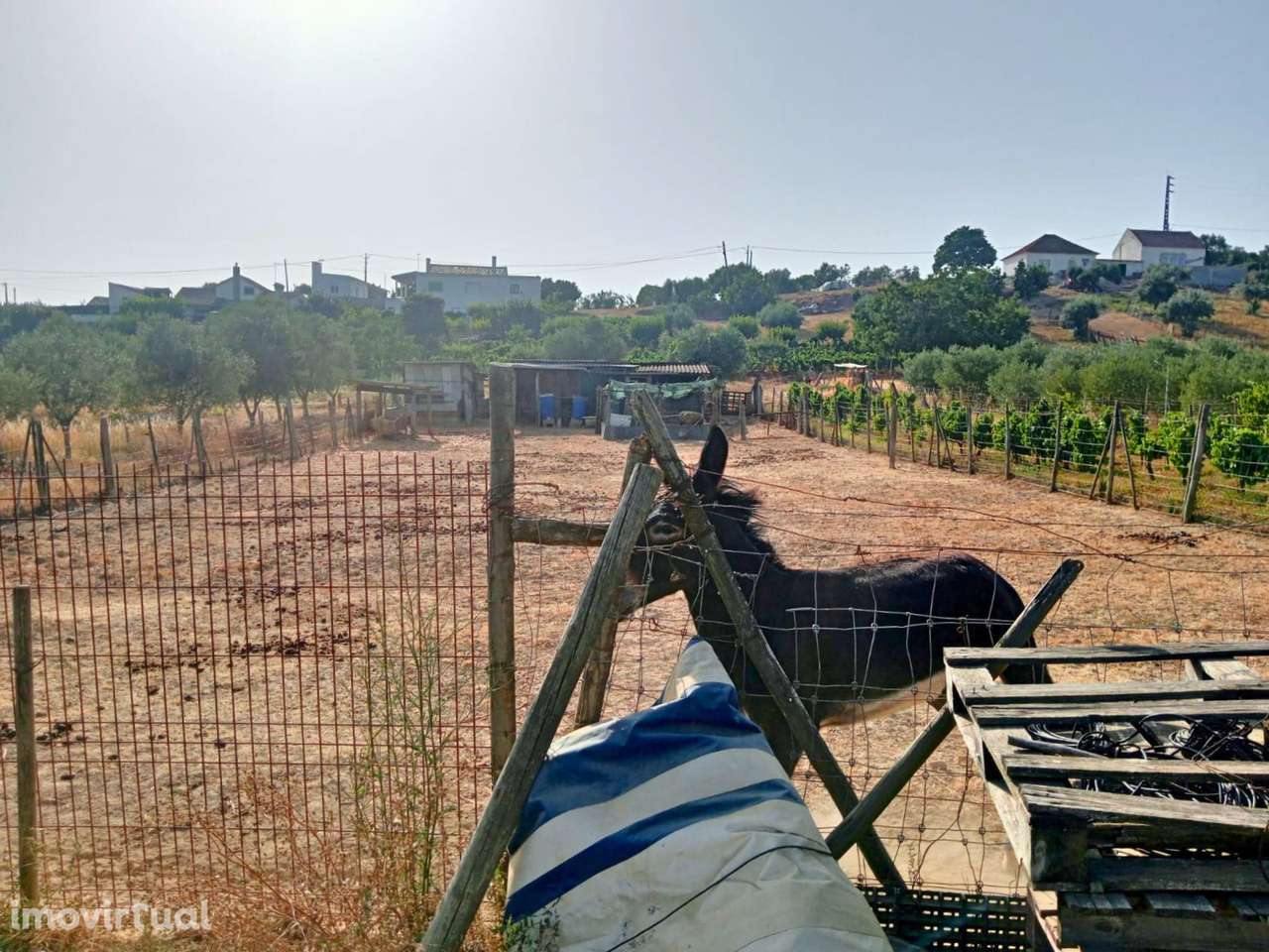 Terreno Rústico com 6.240 m² - Grande imagem: 2/13