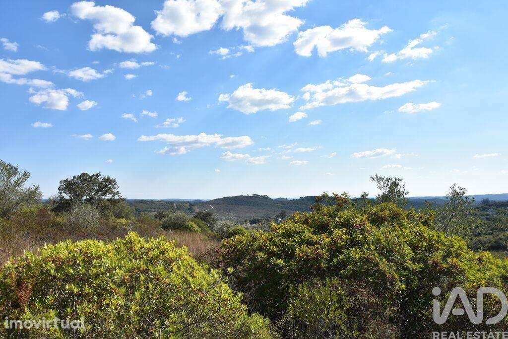 Terreno em Chãos de 33440,00 m2 - Grande imagem: 4/29