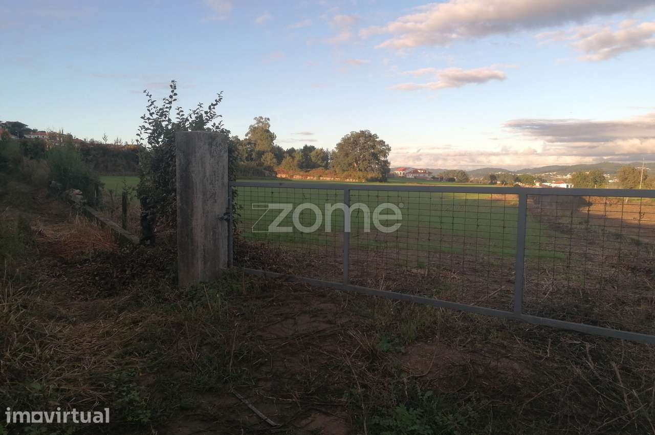 Terreno agrícola com 6.650 M2 em Minhotães-Barcelos - Grande imagem: 3/14