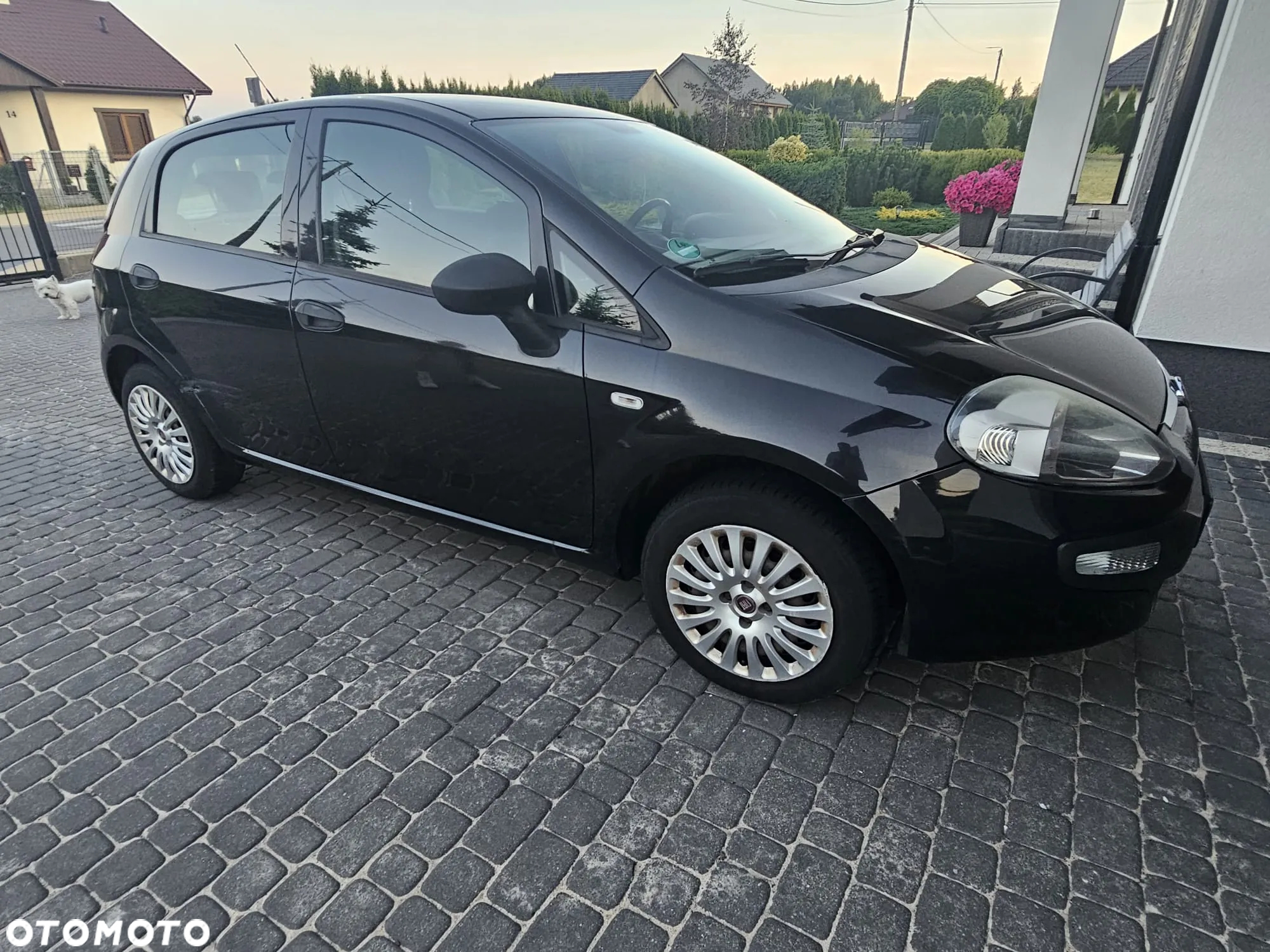 Fiat Punto 1.2 8V Classic - 5