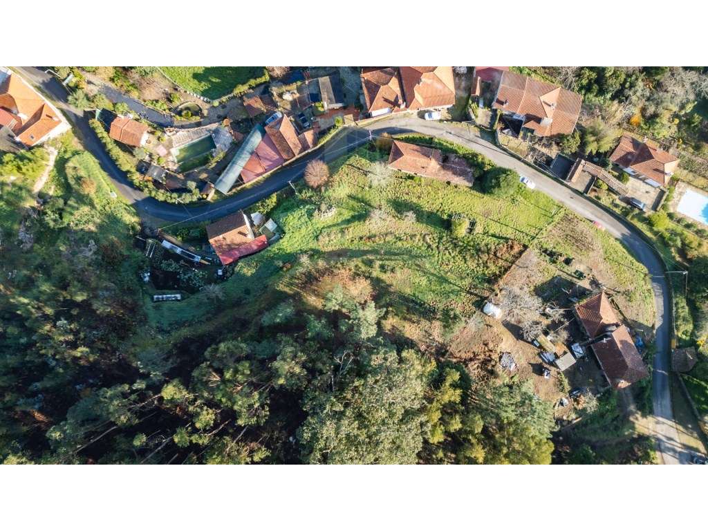 Quintinha com 3567m2 e vistas rio - Grande imagem: 4/14