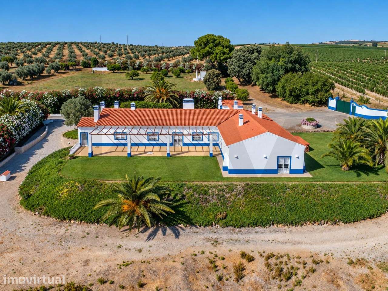 Herdade de 29 hectares com pista de aviação de 550 metros, hangar e mo - Grande imagem: 3/31