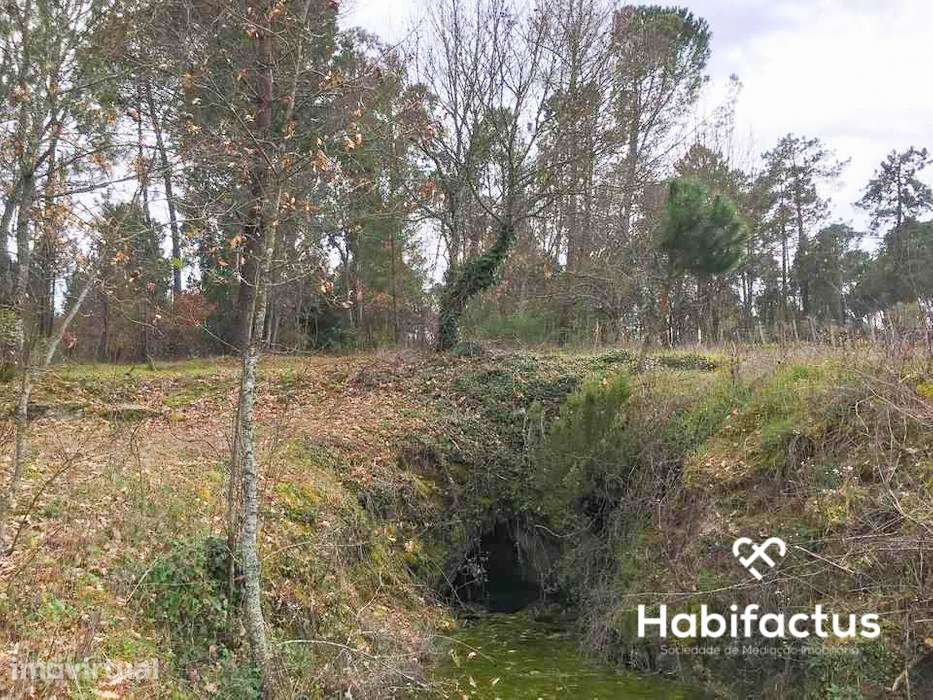 Terreno com viabilidade construtiva em Santar - Grande imagem: 4/7