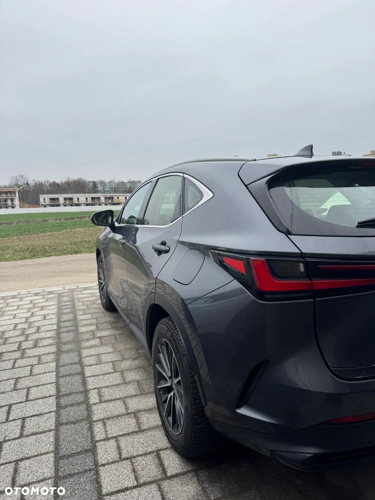 Lexus NX 300 Elegance AWD - 3