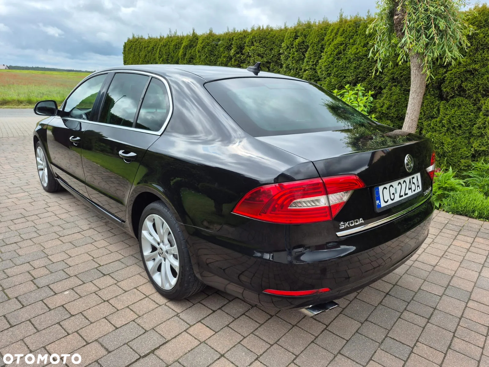Skoda Superb 2.0 TDI Business DSG - 7