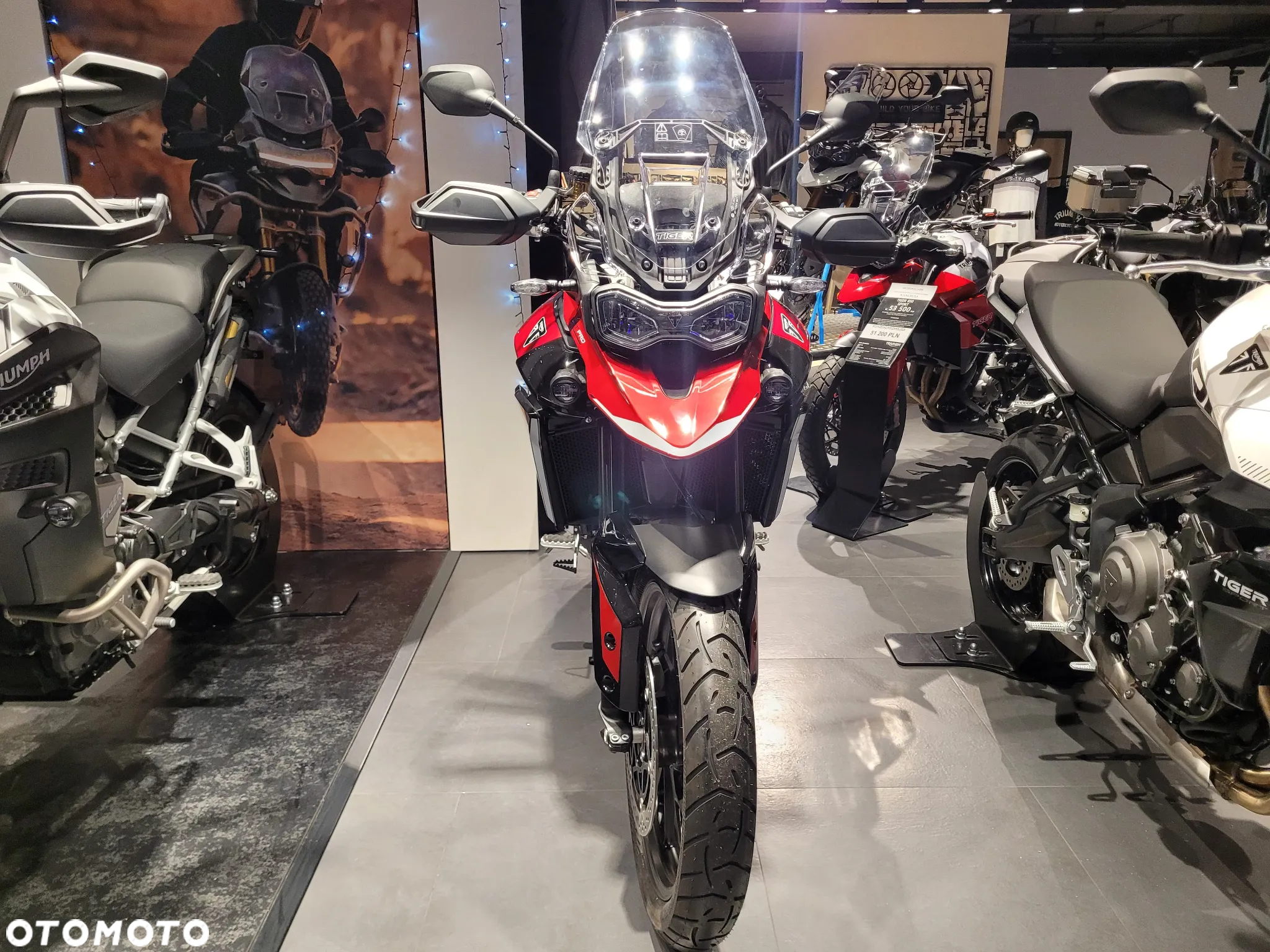 Triumph Tiger