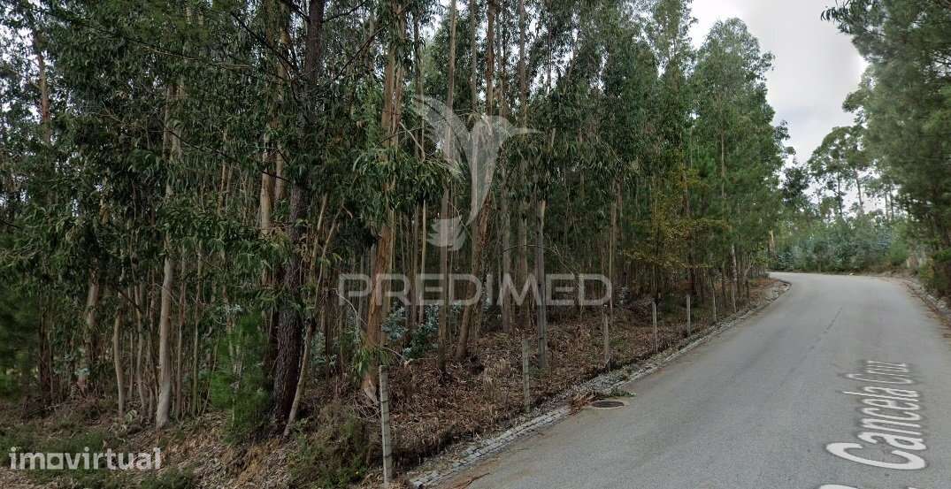 Terreno para Construção Sandim  – Potencial para Polo Industrial - Grande imagem: 5/9